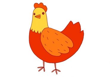 Poule