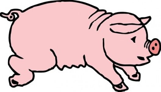 cochon ok